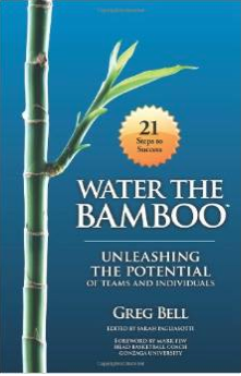 water the bamboo